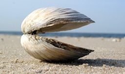 By febb, CC BY-SA 3.0, https://commons.wikimedia.org/w/index.php?curid=47254998